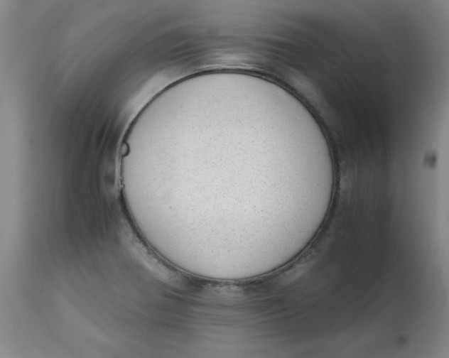 X0000113151370200909251318