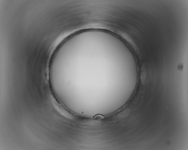 X0000113151372200909251318