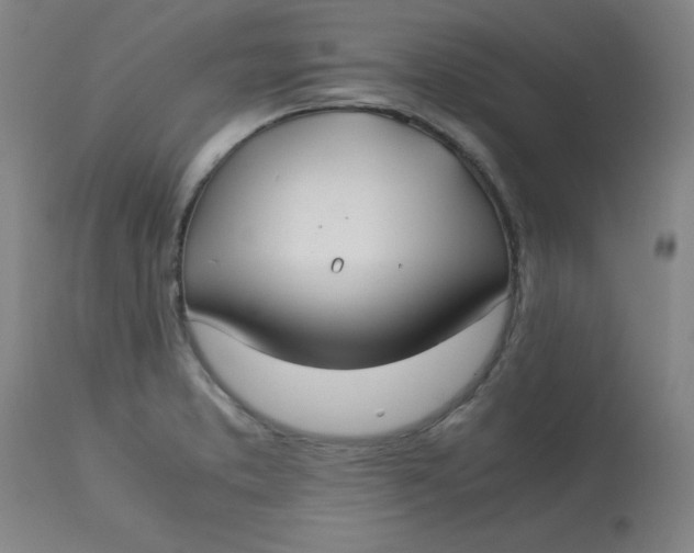 X0000113151373200909251318