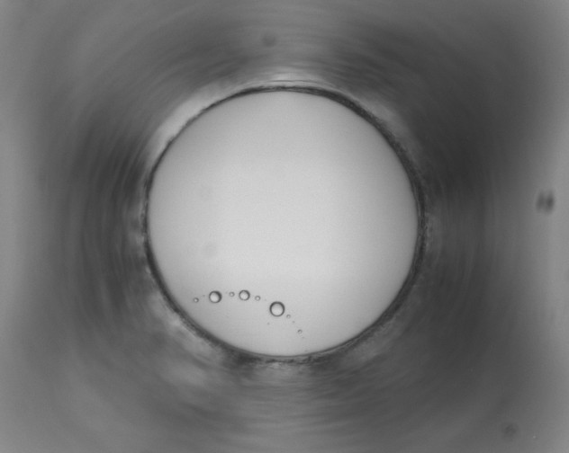 X0000113151374200909251318