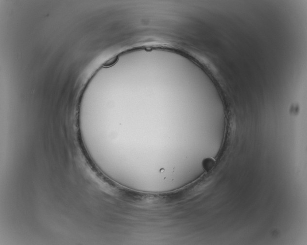 X0000113151375200909251318