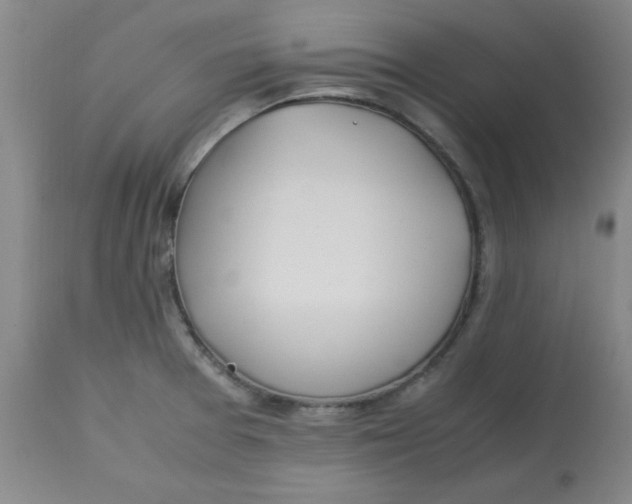 X0000113151377200909251318