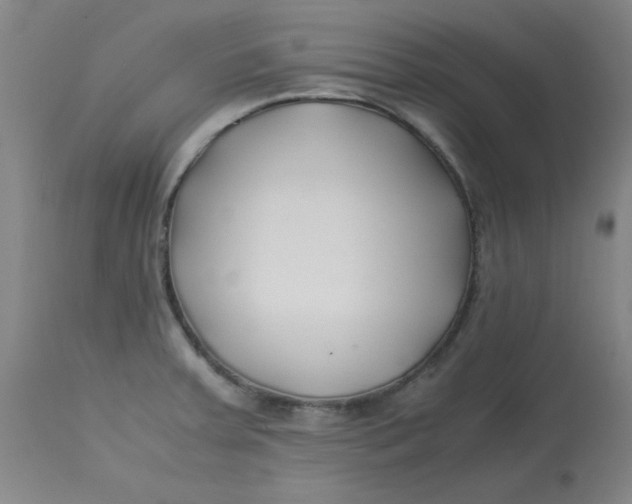 X0000113151379200909251318