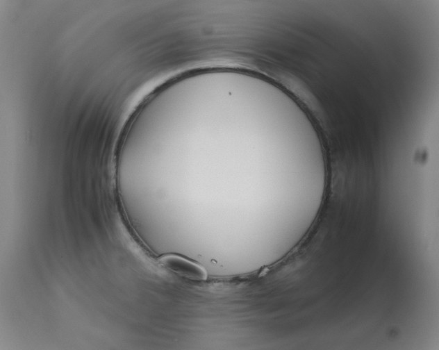 X0000113151380200909251318