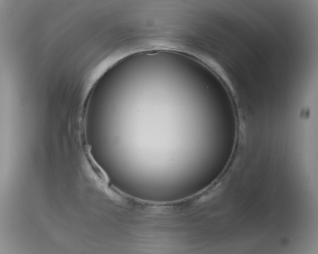 X0000113151381200909251318