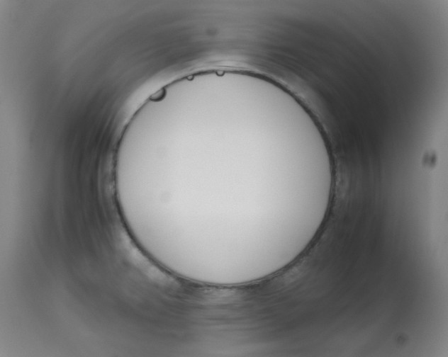 X0000113151382200909251317