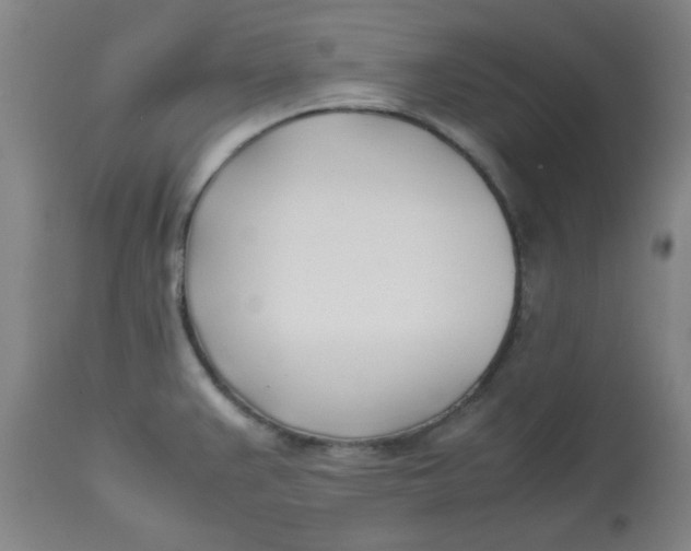 X0000113151383200909251317