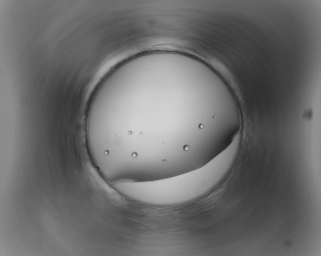 X0000113151384200909251317