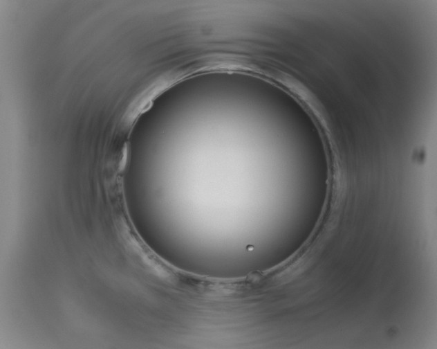 X0000113151385200909251317