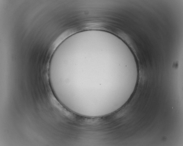 X0000113151386200909251317