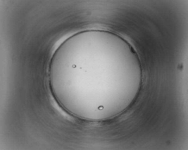 X0000113151387200909251317