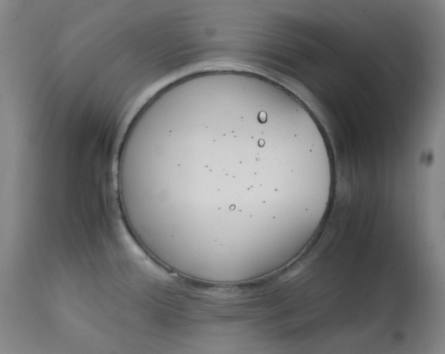 X0000113151388200909251317