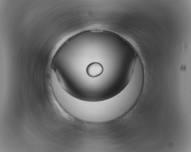 X0000113151392200909251317