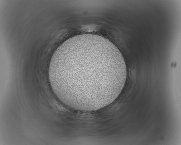 X0000113151393200909251317