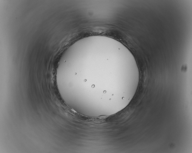 X0000113151394200909251317