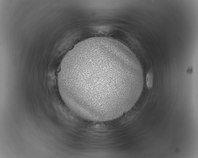 X0000113151395200909251317