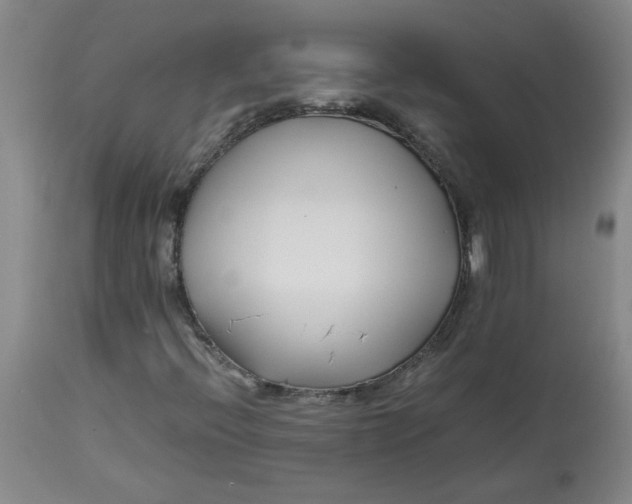 X0000113151396200909251317