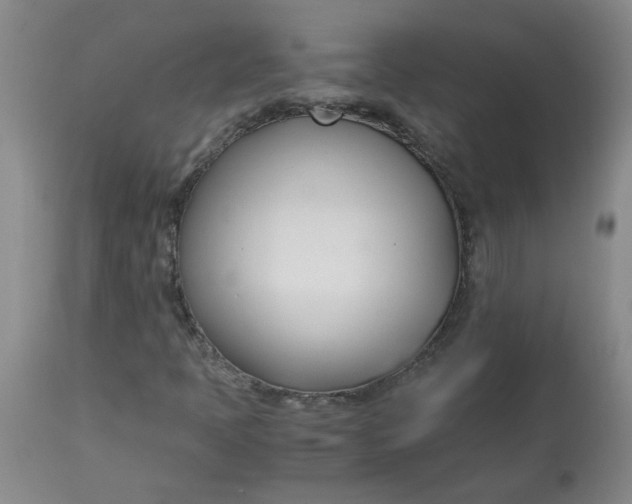 X0000113151397200909251317