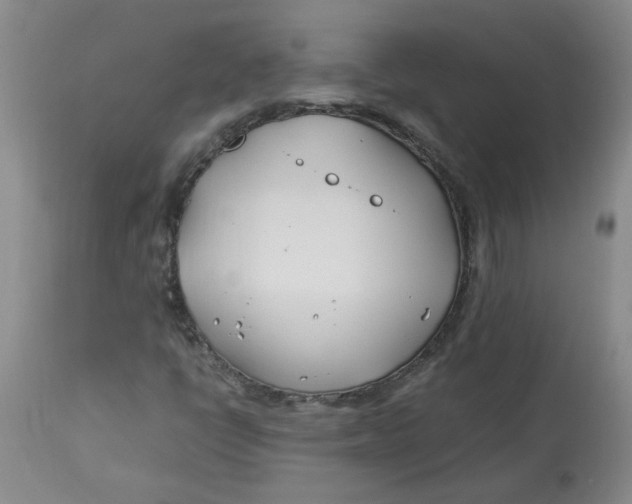 X0000113151398200909251317