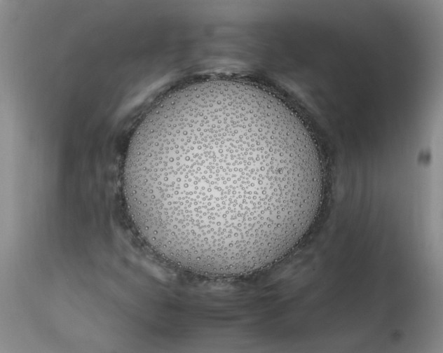 X0000113151399200909251317