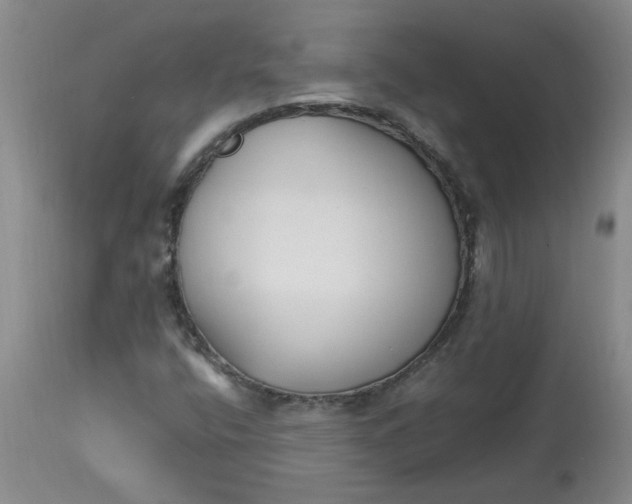 X0000113151400200909251317