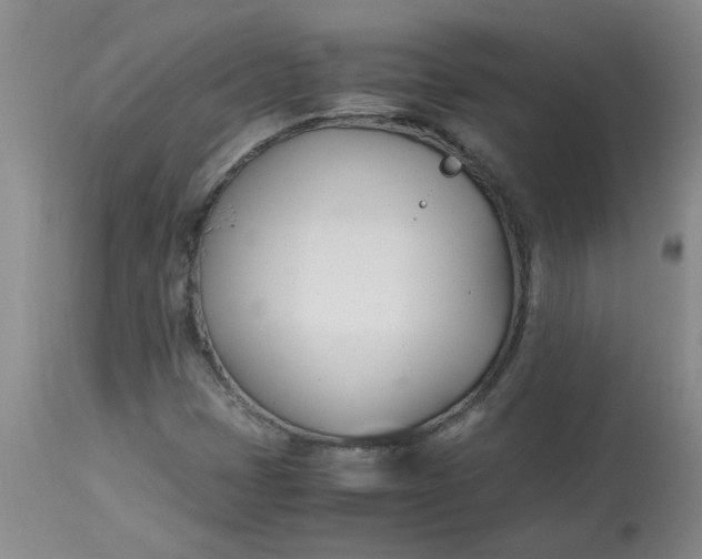 X0000113151401200909251317