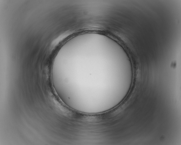 X0000113151402200909251317