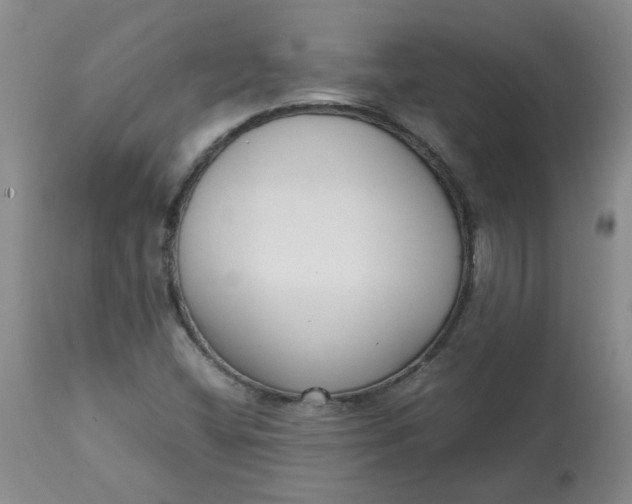 X0000113151404200909251317