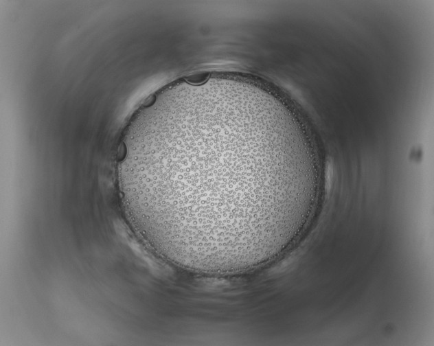 X0000113151405200909251317