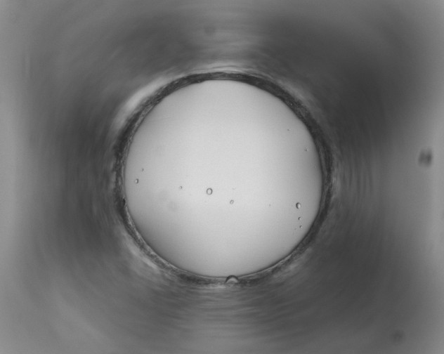 X0000113151406200909251317