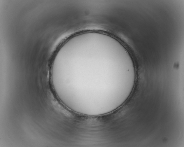 X0000113151408200909251317