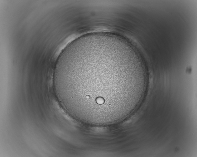 X0000113151409200909251317