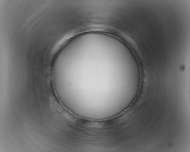 X0000113151411200909251317