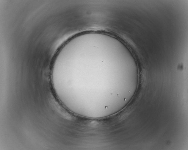 X0000113151412200909251317