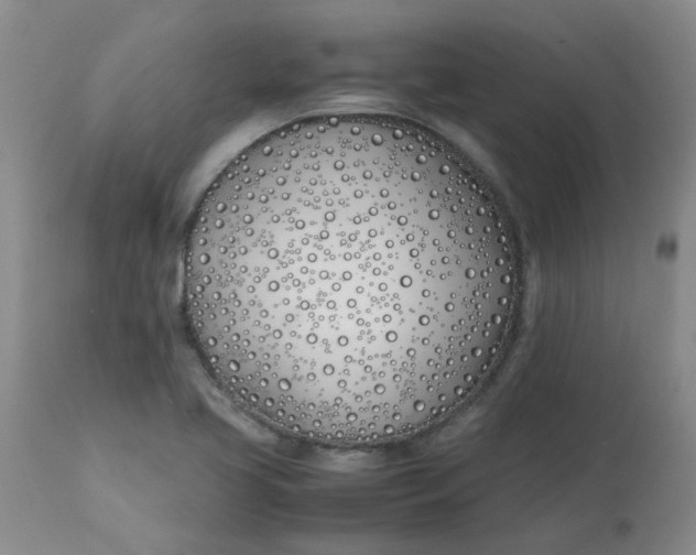 X0000113151413200909251317