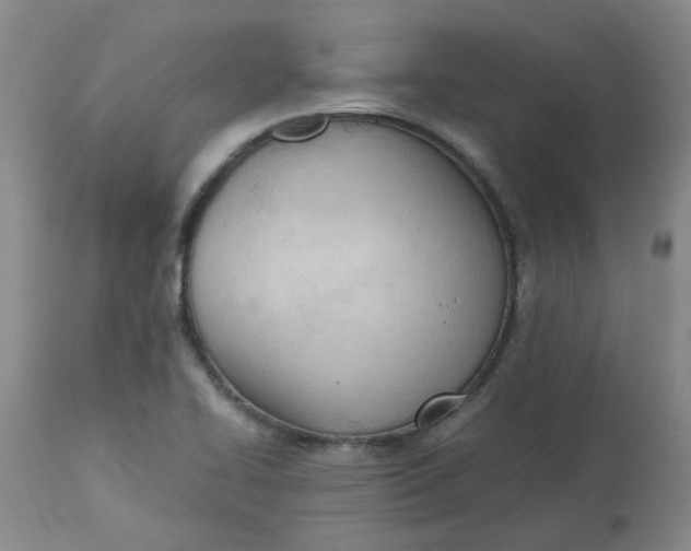 X0000113151414200909251317