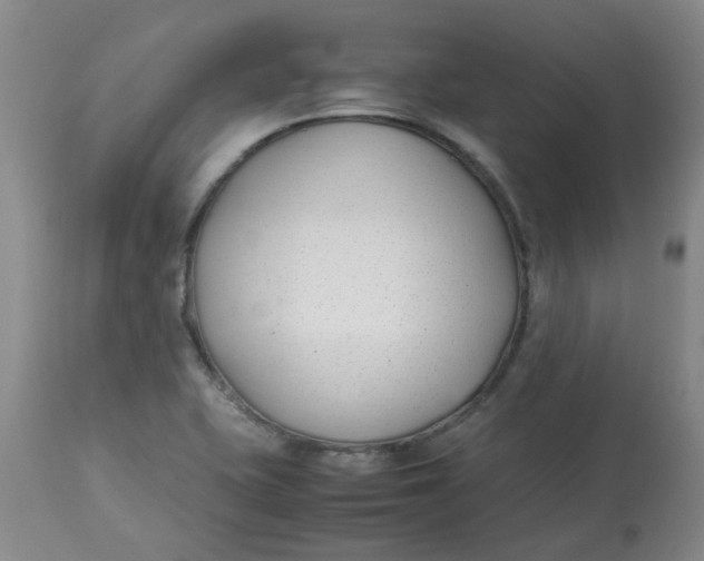 X0000113151415200909251317