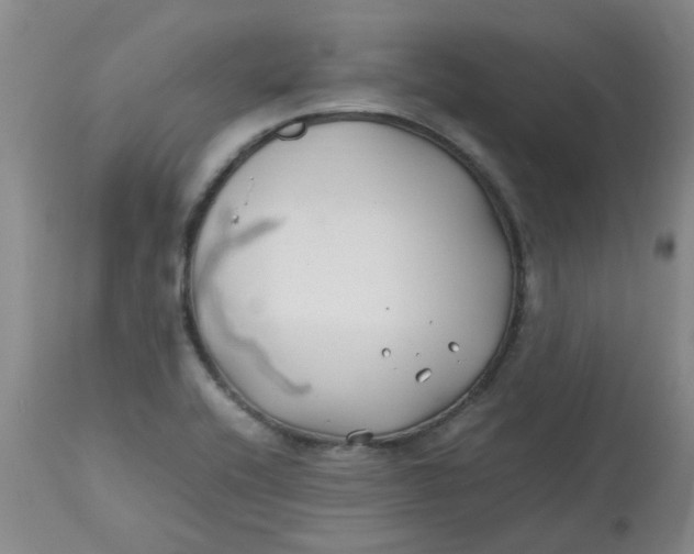 X0000113151416200909251317