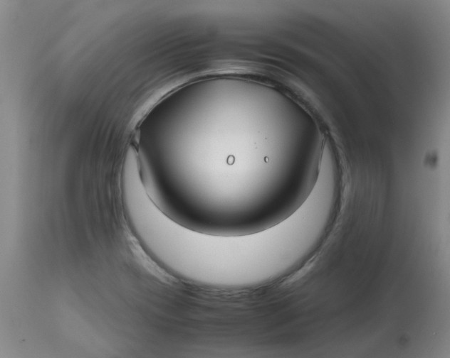 X0000113151417200909251317