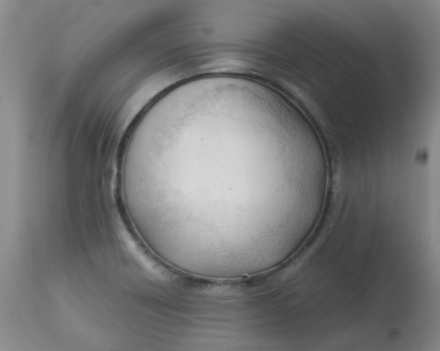 X0000113151418200909251317