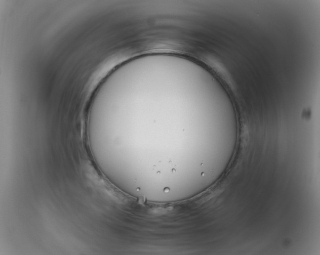 X0000113151419200909251317