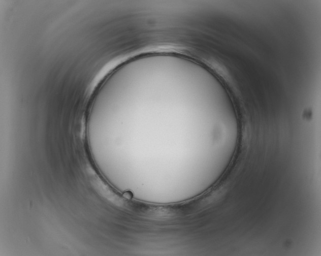 X0000113151420200909251317