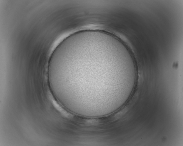 X0000113151421200909251317