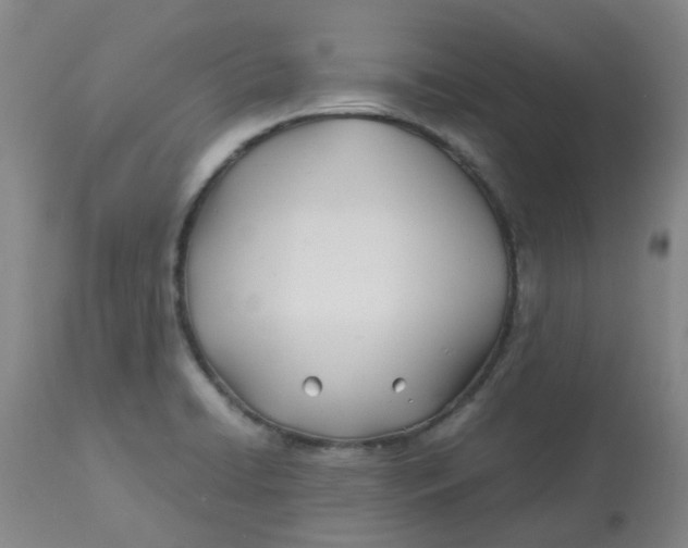 X0000113151422200909251317