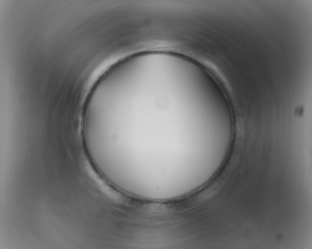 X0000113151424200909251317