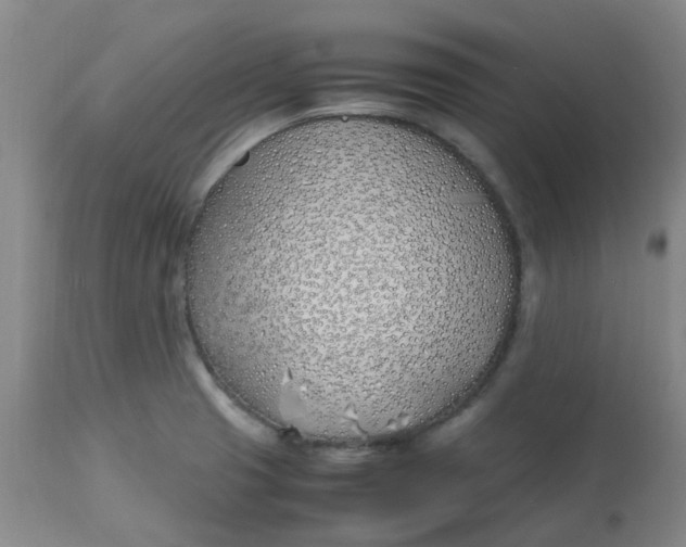 X0000113151425200909251317