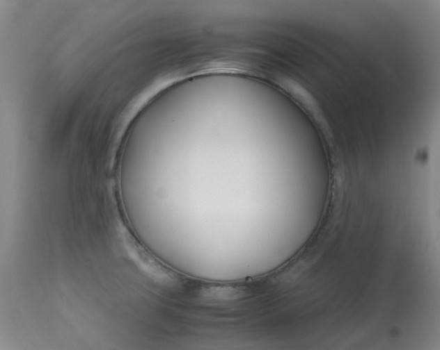 X0000113151427200909251317