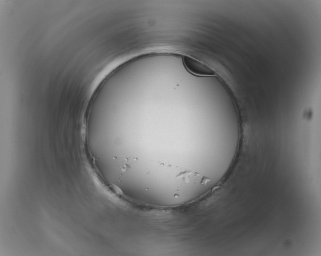 X0000113151428200909251317