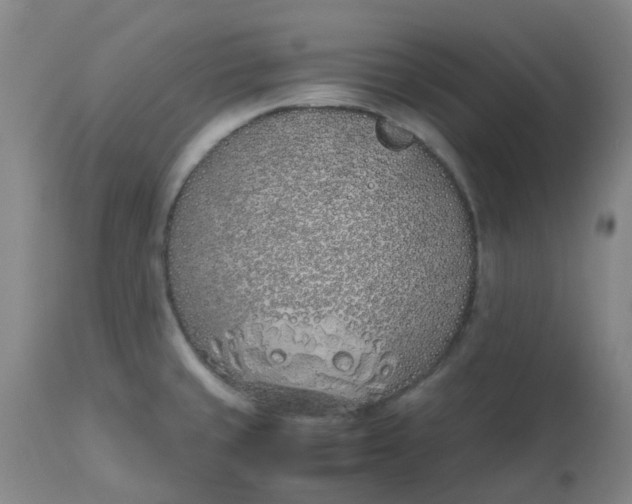 X0000113151429200909251317