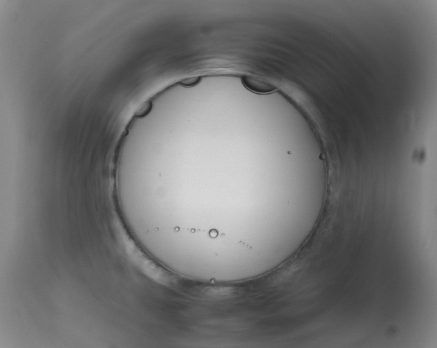 X0000113151431200909251317